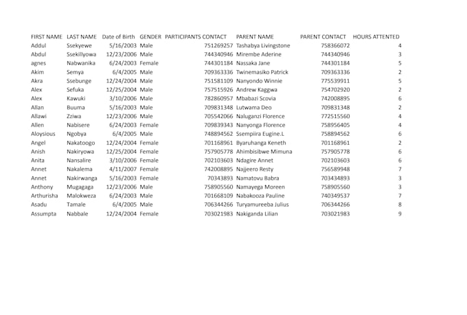 provide accurate data entry an excel services